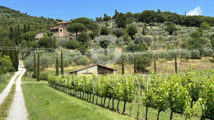 Image No.14-5 Bed Country House for sale