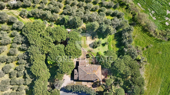 Image No.11-4 Bed Country House for sale