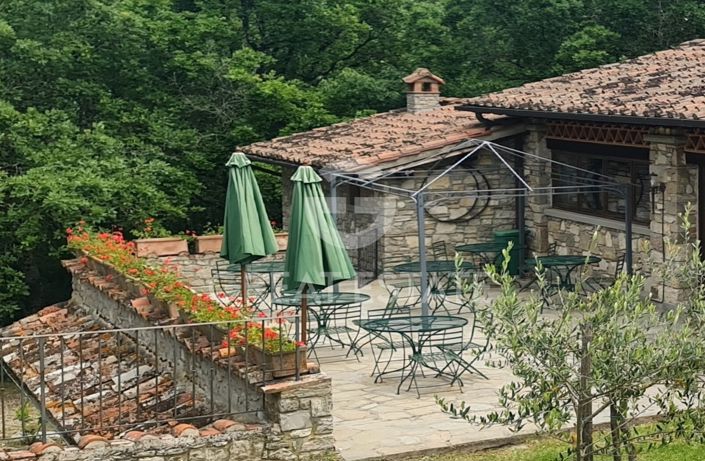 Image No.45-10 Bed Country House for sale