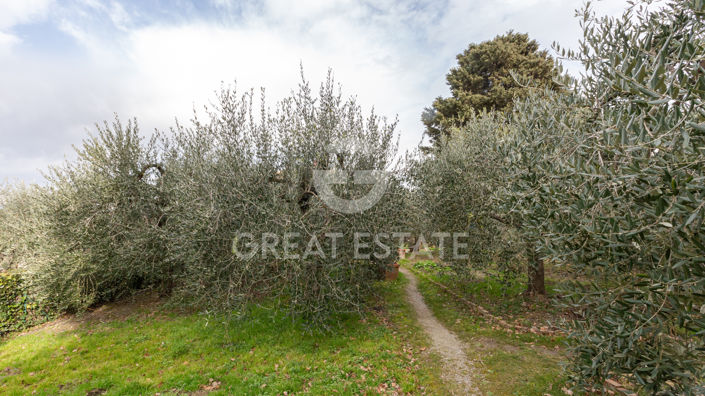 Image No.11-3 Bed Country House for sale