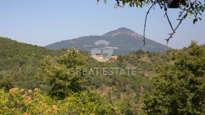 Image No.23-Country House for sale