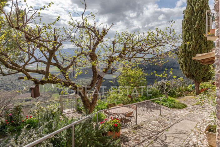 Image No.14-3 Bed Country House for sale