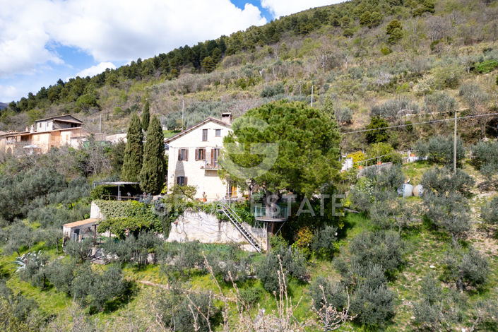 Image No.21-3 Bed Country House for sale