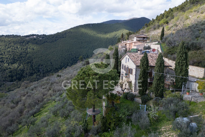 Image No.22-3 Bed Country House for sale