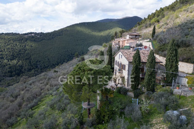 Photo_4