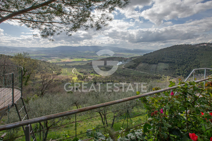 Image No.40-3 Bed Country House for sale