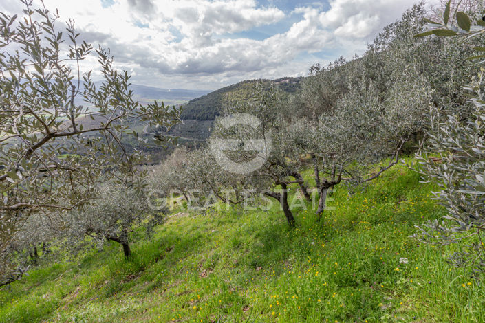 Image No.41-3 Bed Country House for sale