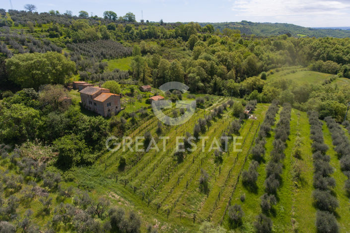 Image No.11-6 Bed Country House for sale