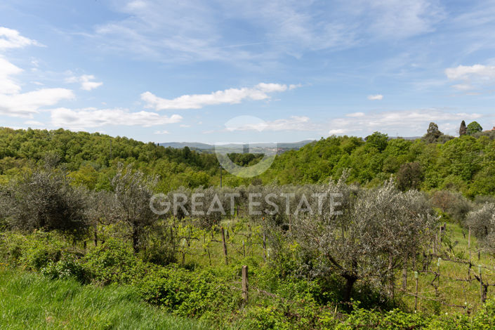 Image No.14-6 Bed Country House for sale