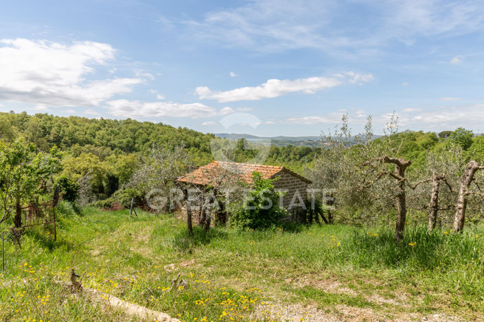 Image No.18-6 Bed Country House for sale