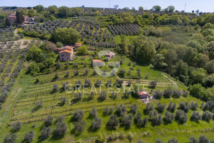 Image No.10-6 Bed Country House for sale