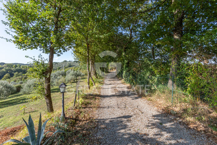 Image No.18-7 Bed Country House for sale