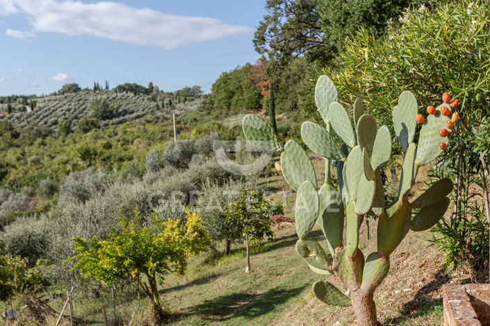 Image No.22-7 Bed Country House for sale