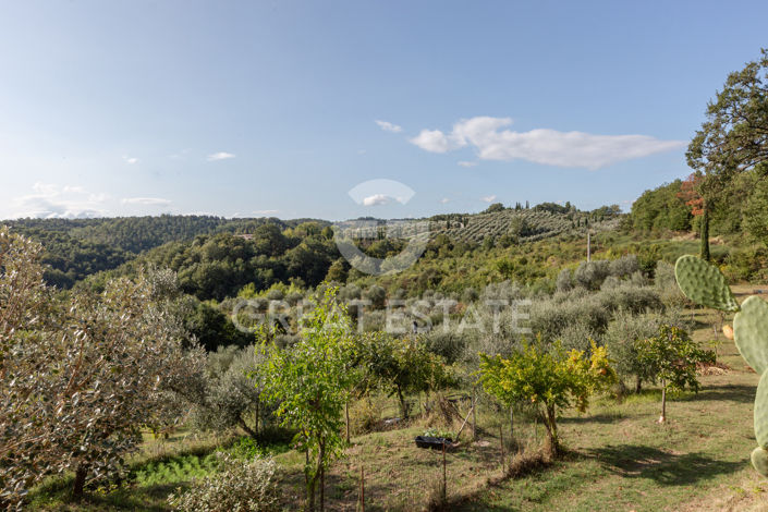 Image No.57-7 Bed Country House for sale