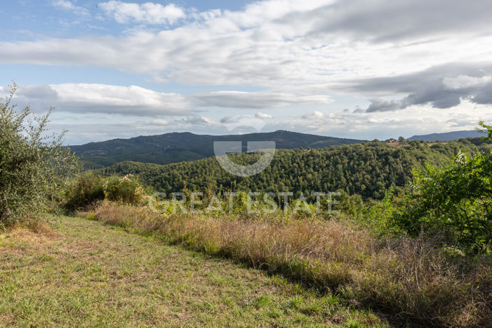 Image No.58-7 Bed Country House for sale