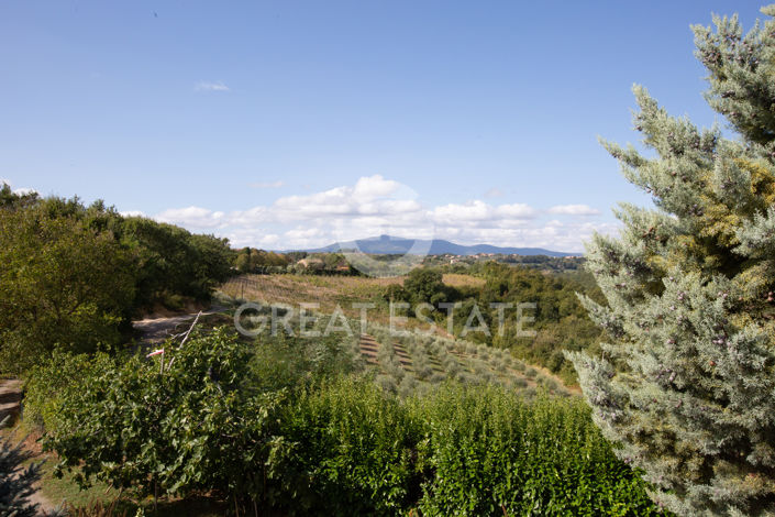 Image No.59-7 Bed Country House for sale