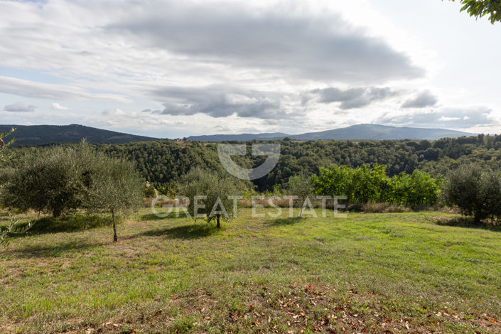 Image No.60-7 Bed Country House for sale