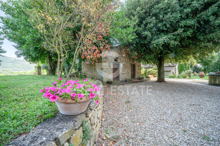 Image No.25-15 Bed Country House for sale