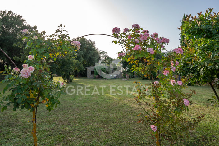 Image No.46-15 Bed Country House for sale