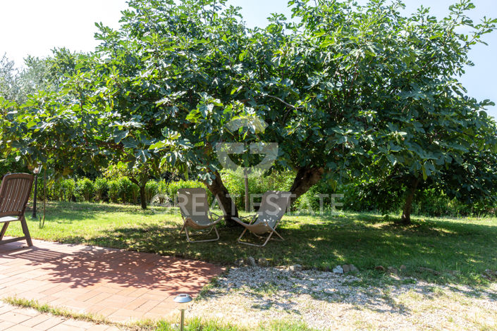 Image No.14-5 Bed Country House for sale