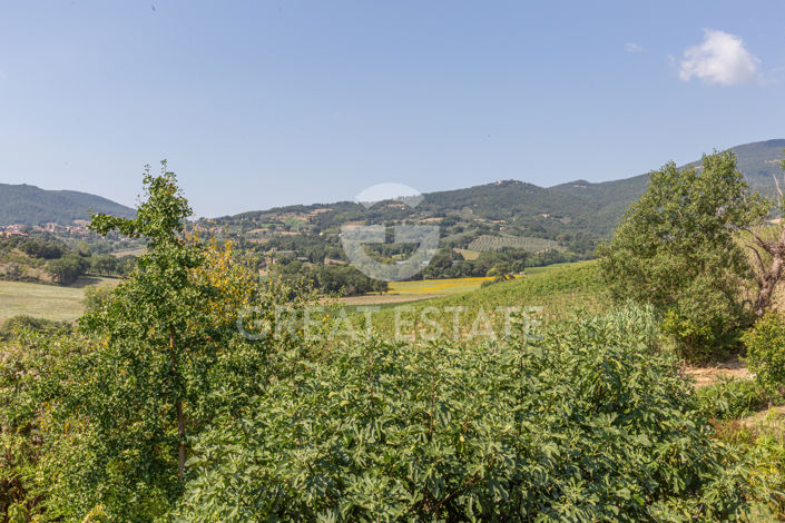 Image No.42-5 Bed Country House for sale