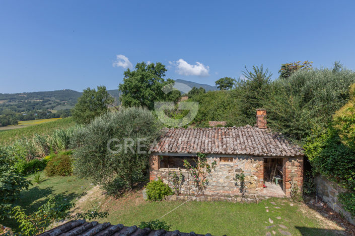 Image No.43-5 Bed Country House for sale