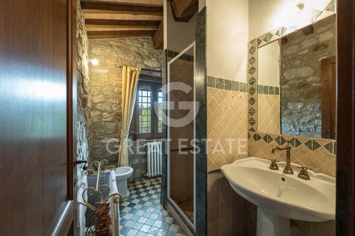 Image No.43-12 Bed Country House for sale