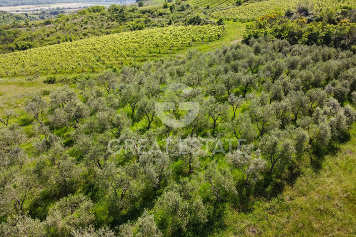 Image No.22-2 Bed Country House for sale