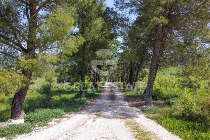 Image No.23-2 Bed Country House for sale