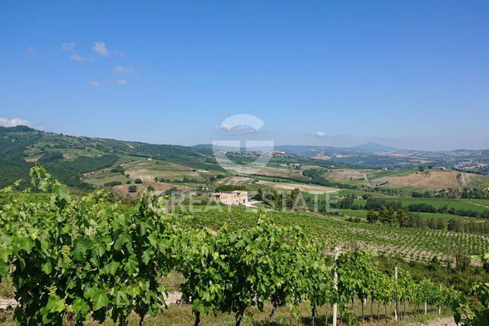 Image No.35-2 Bed Country House for sale