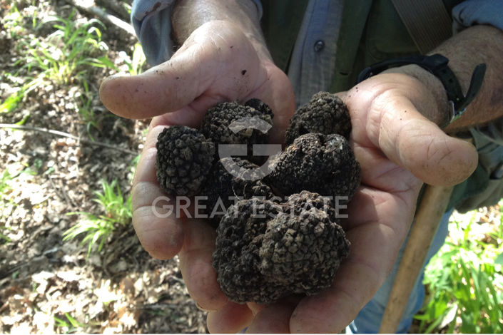 Image No.37-2 Bed Country House for sale