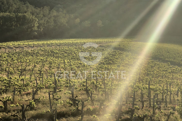 Image No.41-2 Bed Country House for sale