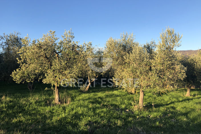 Image No.42-2 Bed Country House for sale