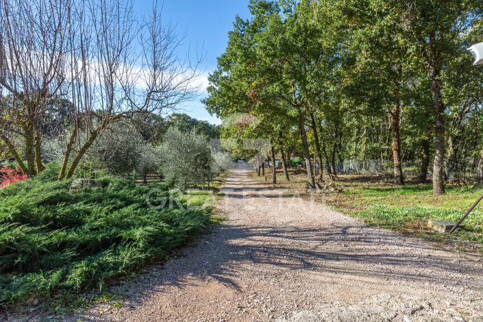 Image No.15-4 Bed Country House for sale