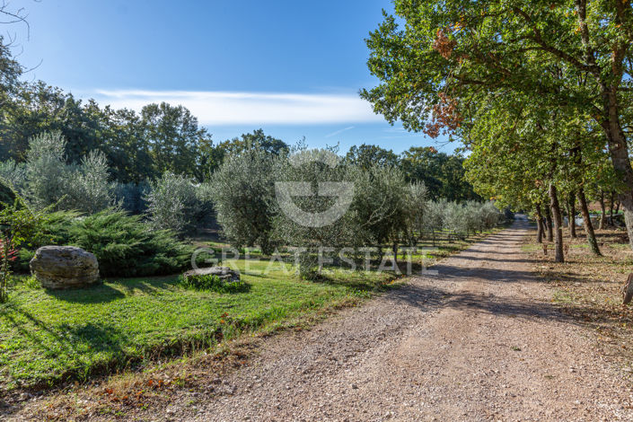 Image No.41-4 Bed Country House for sale