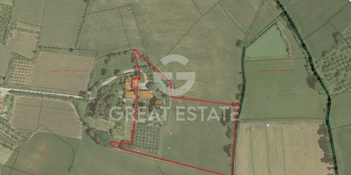 Image No.3-floorplan-3