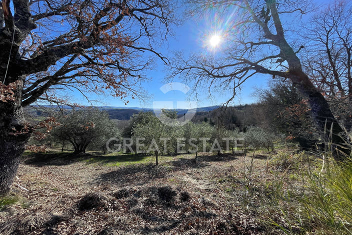 Image No.30-Maison de campagne de 2 chambres à vendre à Radicofani