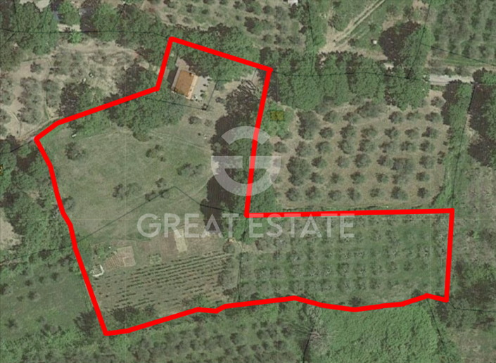 Image No.2-floorplan-2