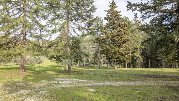 Image No.12-4 Bed Country House for sale