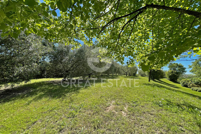 Image No.40-Maison de campagne de 4 chambres à vendre à Foiano della Chiana
