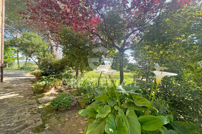 Image No.29-6 Bed Country House for sale