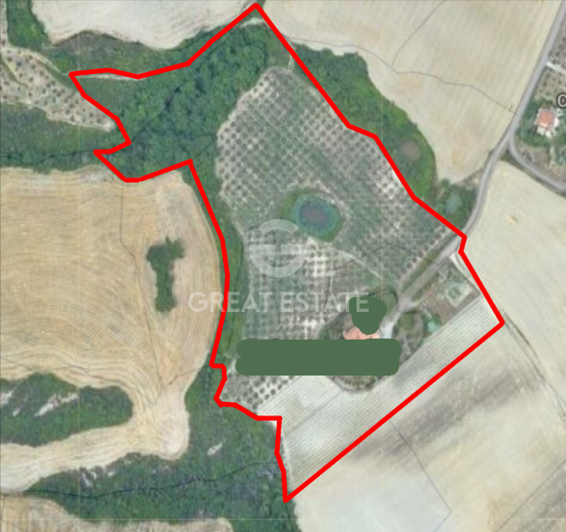 Image No.2-floorplan-2