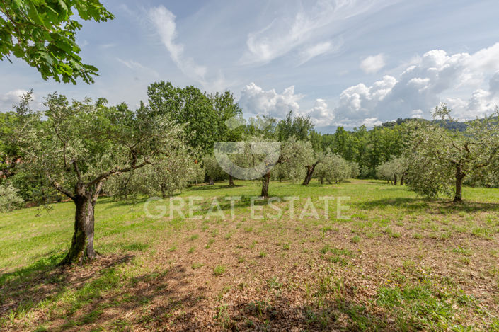 Image No.56-4 Bed Country House for sale