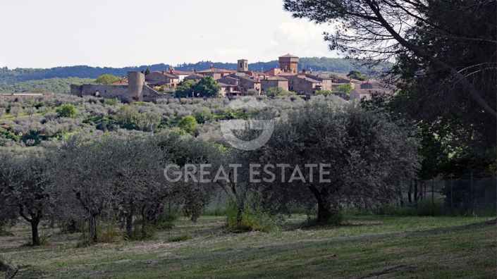 Image No.22-4 Bed Country House for sale