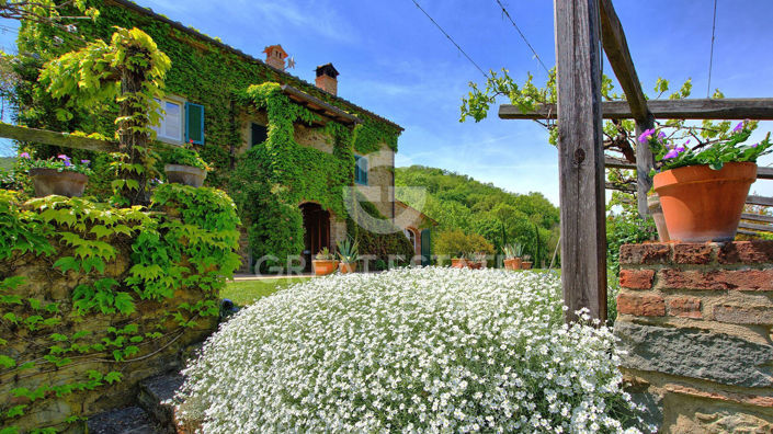 Image No.14-5 Bed Country House for sale