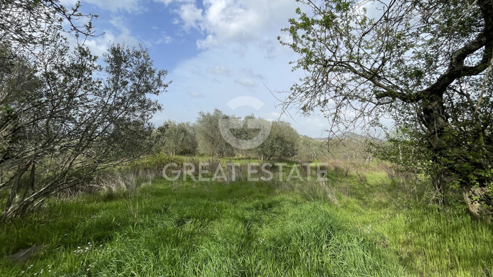 Image No.19-2 Bed Country House for sale