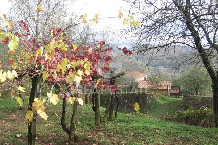 Image No.27-3 Bed Country House for sale