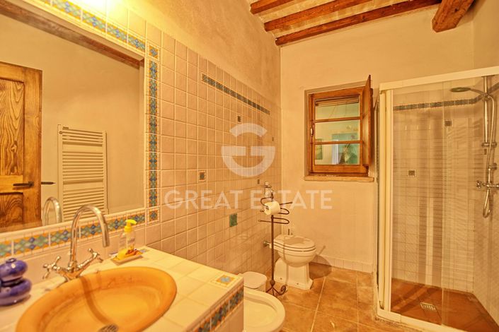 Image No.43-10 Bed Country House for sale