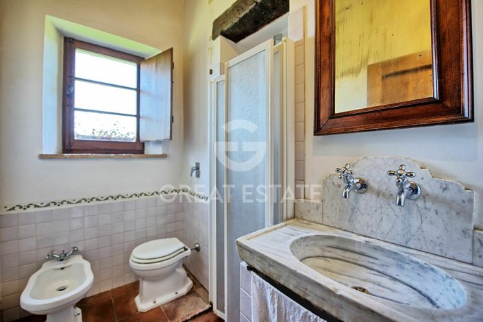 Image No.44-10 Bed Country House for sale