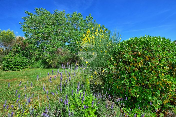 Image No.46-10 Bed Country House for sale